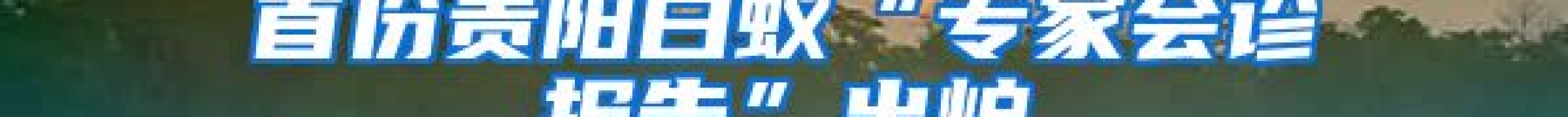 首份貴陽白蟻“專家會診報告”出爐